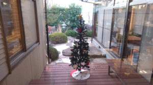 「カカオ果 五日市本店」の外に飾ってあったクリスマスツリーです