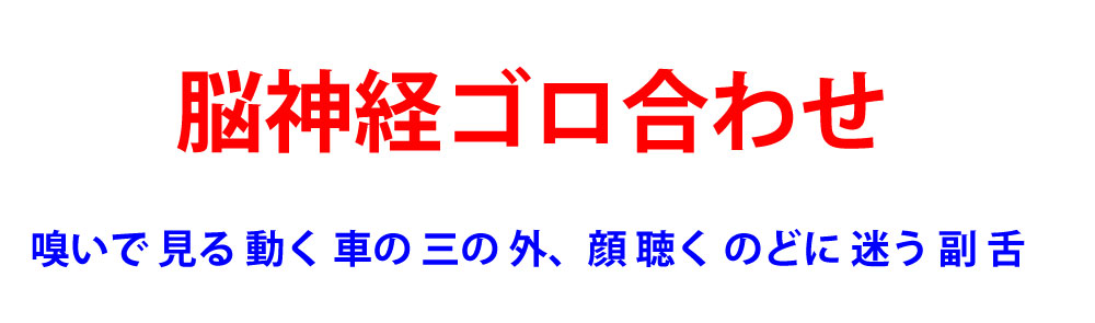 脳神経１２対一覧（語呂合わせ：嗅いで見る動く車の三の外、顔耳のどに迷う副舌）