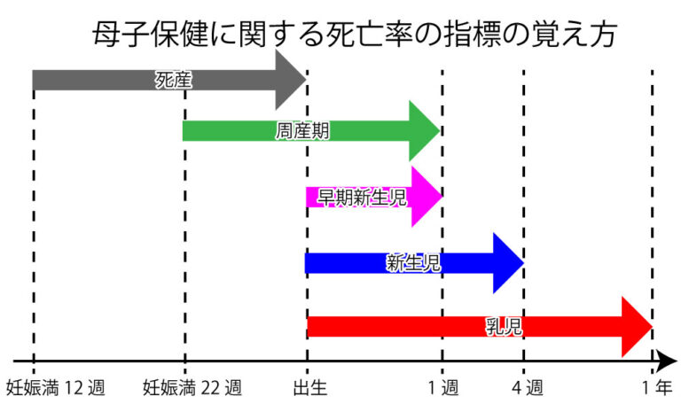 新生児・乳児・幼児とは【定義・特徴・違い】
