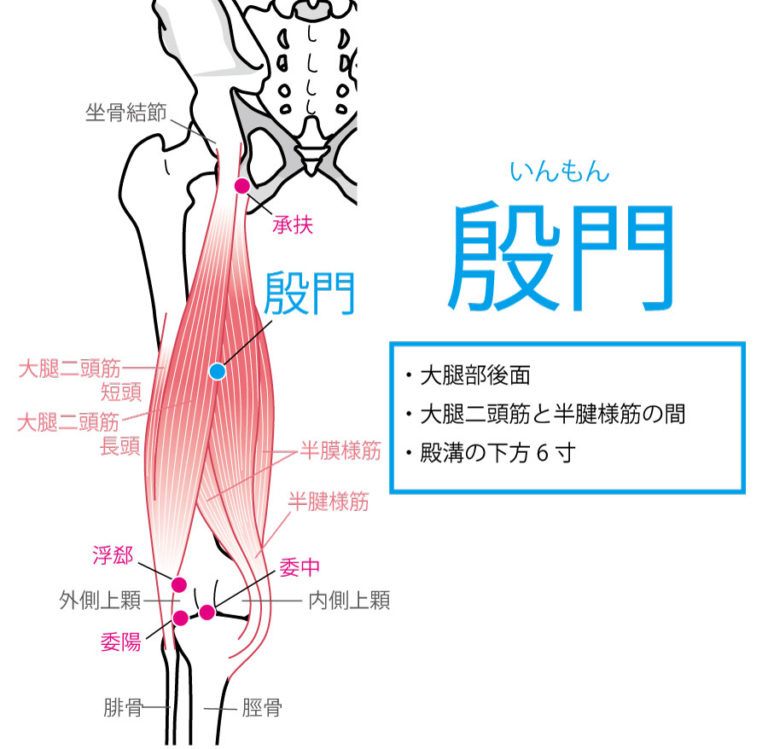 殷門(いんもん:BL37)