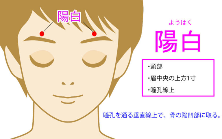 陽白(ようはく:GB14)