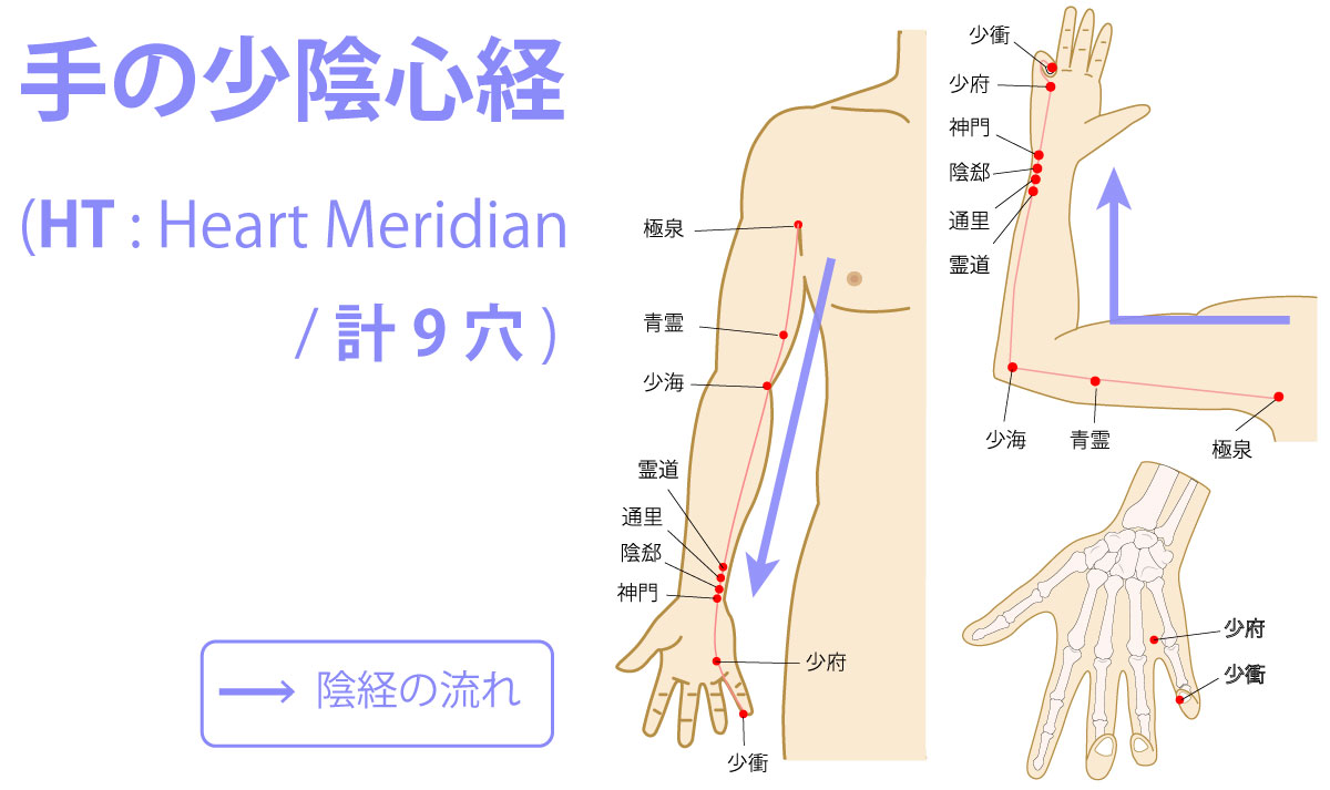 手の少陰心経(しょういんしんけい:Heart Meridian)