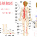 足の太陽膀胱経（たいようぼうこうけい：Bladder Meridian）