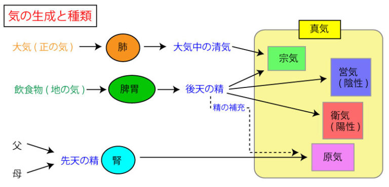 気(き) | 東洋医学における生理物質②