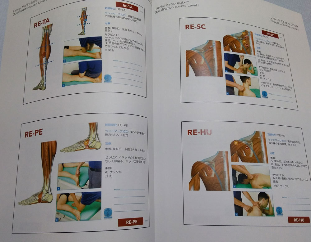 筋膜マニピュレーション 実践編レベル1レベル2理論編 3冊セット - 健康